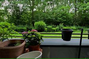 Property thumbnail 13