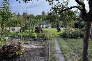 Fockendorf: EFH / ZFH mit großem 1.570 m² großen Grundstück, SÜDAUSRICHTUNG !!!  – Altenburger Land (Kreis) – Vorschaubild 8