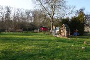 2 Häuser, 1 Preis: Bungalow von 2002 + teil-vermieteter Altbau u. großem Garten – Müritz (Kreis) – Vorschaubild 8