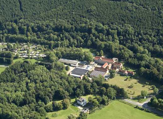 Singles herzberg am harz