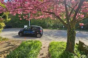 Wohnen mit Panoramablick - Großzügiges Zuhause in Waldrandlage – Die vollständige Adresse der Immobilie erhältst du vom Anbieter., 69126 Emmertsgrund, Heidelberg – Vorschaubild 19