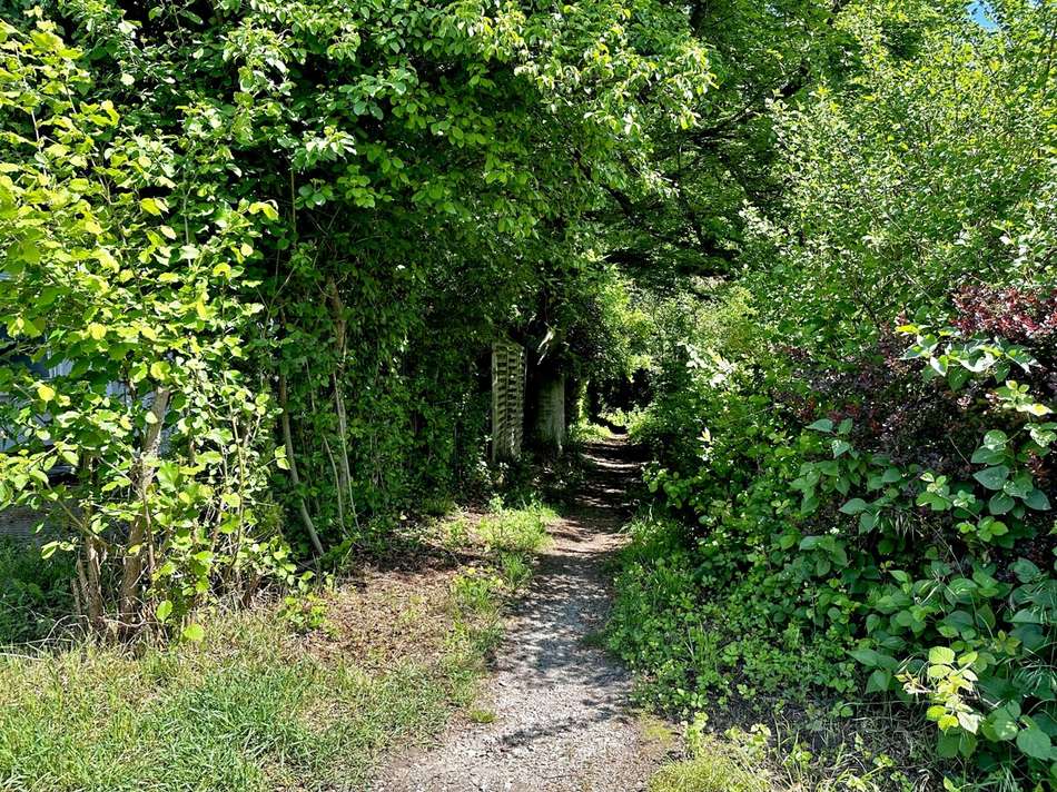 Angrenzender Weg in den Wald