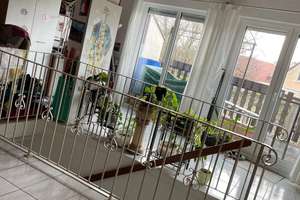 Reihenendhaus mit 5 Zimmer direkt an der Fleckenmauer – Die vollständige Adresse der Immobilie erhältst du vom Anbieter., 67592 Flörsheim-Dalsheim – Vorschaubild 12