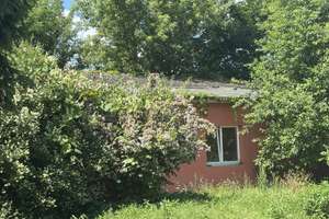 Großzügiger in 2005 komplett sanierter Bungalow mit 2 Zimmern im schönen Bohnsdorf! – Die vollständige Adresse der Immobilie erhältst du vom Anbieter., 12526 Bohnsdorf, Berlin – Vorschaubild 2