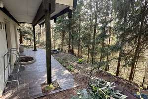Natur pur! Ferienhaus in ruhiger Waldlage mit großem Wohnbereich – Auf Busch 59, 53945 Blankenheim – Vorschaubild 22