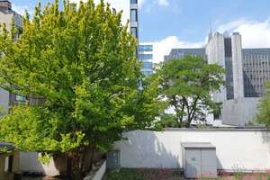 Provisionsfrei! Zentrale, ruhige Wohnung mit großem Balkon  – Die vollständige Adresse der Immobilie erhältst du vom Anbieter., 40217 Friedrichstadt, Düsseldorf – Vorschaubild 10