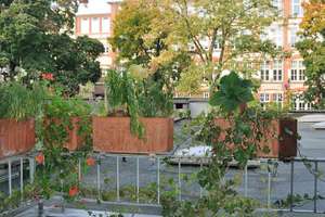 Property thumbnail 7