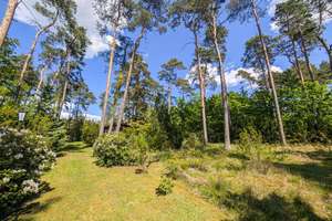 Idyllisches Wochenendhaus in der Dübener Heide - Großes Grundstück in himmlischer Ruhe – Die vollständige Adresse der Immobilie erhältst du vom Anbieter., 4849 Bad Düben – Vorschaubild 3