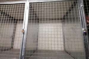 Maxvorstadt: Große 1-Zimmer-Wohnung in TOP-Lage – Luisenstraße 60, 80798 Am alten nördlichen Friedhof, München – Vorschaubild 12