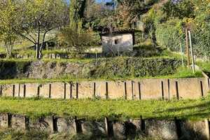 Mehrfamilienhaus mit großem Garten und einmaliger Aussichtslage – Freiburg im Breisgau – Vorschaubild 16