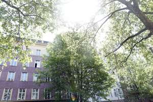 Altbauperle mit 92 qm Wohnfläche & Terrasse KOLLWITZSTRAßE, bezugsfrei – Kollwitzstraße 74, 10435 Prenzlauer Berg, Berlin – Vorschaubild 39