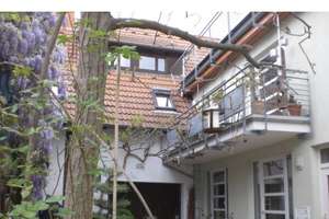 Schöne, geräumige zwei Zimmer Maisonette Wohnung mit Galerie &Küche ,Balkon  im Ortskern, Nußloch – Die vollständige Adresse der Immobilie erhältst du vom Anbieter., 69226 Nußloch – Vorschaubild 2
