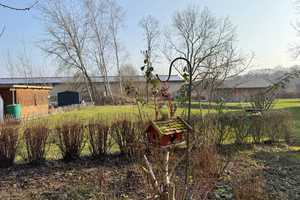 *Prov.frei* Neuwertiger Schweden-Bungalow, Kfw 70 Haus, barrierefrei, sparsam, hochwertig, modern – Teltow-Fläming (Kreis) – Vorschaubild 6