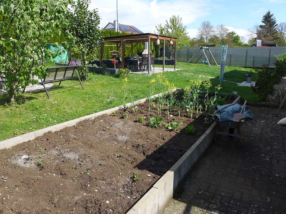 Gemüsebeet im Garten