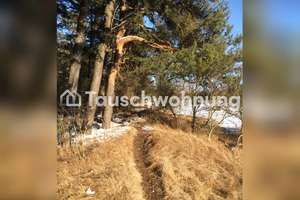 Tauschwohnung: Schöne, sonnige 1,5 -wie 2 Zi- Wohnung, ggn 2 Zi – Grohmannstr 59, 80933 Lerchenau-Ost, München – Vorschaubild 9