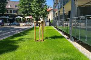 SCHÖNER WOHNEN. Kernsanierte 3 Zimmer Wohnung nach KFW 70 Standard, in Top-Lage nähe Citygalerie – Provinostraße 16, 86153 Augsburg – Vorschaubild 2