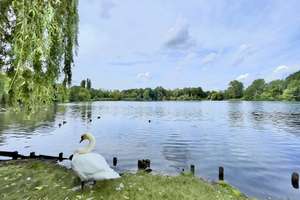 Traumhafte 2-Zimmer Wohnung direkt am See – Brienzer Straße 59, 13407 Reinickendorf (Ortsteil), Berlin – Vorschaubild 18