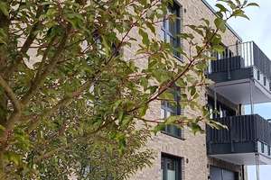 Wohnen Sie gerne modern und sonnig? Hier - in Bremen an Alt Osterholz!