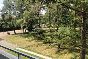 schöne, renovierte, ruhige 2-Zi. ETW in Rgbg West Weinweg – Weinweg 53, 93049 Westenviertel, Regensburg – Vorschaubild 8