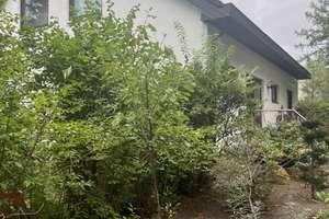 geschmackvolles Haus,auf riesigem Grundstück liebevoll gestaltet und mit Baupotenzial ... – Die vollständige Adresse der Immobilie erhältst du vom Anbieter., 14167 Zehlendorf, Berlin – Vorschaubild 74