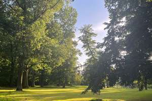 Property thumbnail 18