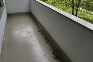 Großzügige 3-Zimmer-Wohnung mit zwei Balkonen in ruhiger Lage von München-Moosach – Caubstraße 17, 80993 Alt-Moosach, München – Vorschaubild 4