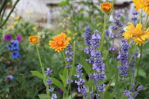 Property thumbnail 36