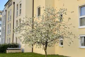 Furnished Apartment for 2 | All-Inclusive Rent incl. Electricity & Internet | U6 to Frankfurt – 63065 Mathildenschule, Offenbach am Main – Vorschaubild 6