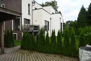 ca. 177 qm Wohn-/ Nutzfläche in Top Lage von Sasel – Hamburg – Vorschaubild 2