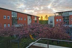 Gepflegte 1-Zimmer-Wohnung mit EBK, Balkon und TG-Stellplatz in Wiesbaden – Norderneyer Straße 7, 65199 Dotzheim, Wiesbaden – Vorschaubild 26