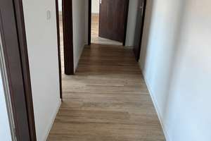 Erstbezug nach Renovierung 2-Zimmer-Wohnung in Köln-Weidenpesch – Neusser Straße 538, 50737 Weidenpesch, Köln – Vorschaubild 5