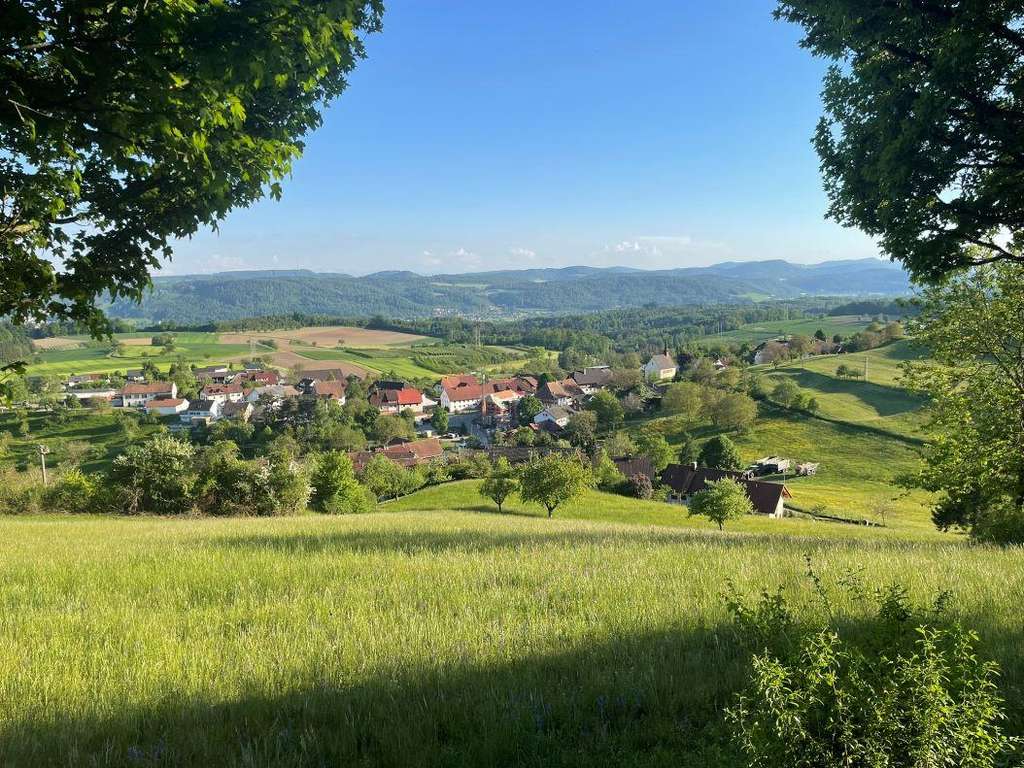 Immobilie in Dogern - Architektenhaus – charmantes, lichtdurchflutetes EFH i. gr. Grundstück eingebettet, Sonnenterrass... - Bild 2