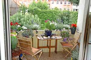 Attraktive Zweiraumwohnung im Andreasviertel – Weiße Gasse 31, 99084 Erfurt – Vorschaubild 3