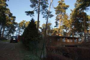 Idyllisch gelegener Ferienbungalow nahe Scharmützelsee in Waldlage für Handwerker – Die vollständige Adresse der Immobilie erhältst du vom Anbieter., 15859 Storkow (Mark) – Vorschaubild 3