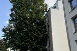 Lichtdurchflutete 2-Zimmer-Wohnung mit Balkon in Hannover  – Voltmerstraße 33, 30165 Hannover – Vorschaubild 13