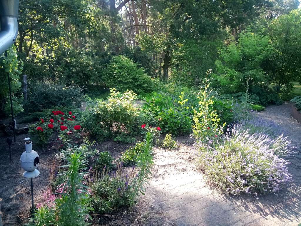 Immobilie in Jessen (Elster) - Charmantes Reihenhaus mit 4 Zimmern in Klöden - Bild 3