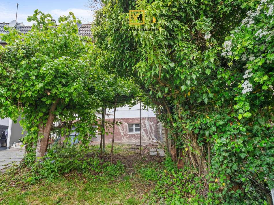 11 Garten