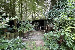 Bungalow mit Atrium und großem Garten – Neuss (Rhein-Kreis) – Vorschaubild 6