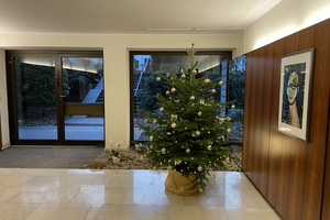 Komfortable EG-Wohnung in traumhafter Bestlage des Zooviertels – Tiergartenstraße 38, 40237 Düsseldorf – Vorschaubild 13
