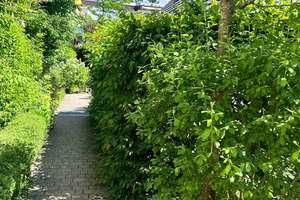 Property thumbnail 13