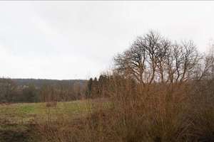 Property thumbnail 23