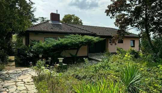 Bild von Bungalow mit großem Grundstück in ruhiger Lage von Mölsheim