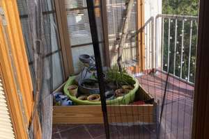 Zimmer in einer WG in Berlin für eine Einzelperson. Anmeldung möglich. – Möllenseestraße 12, 12587 Friedrichshagen, Berlin – Vorschaubild 6