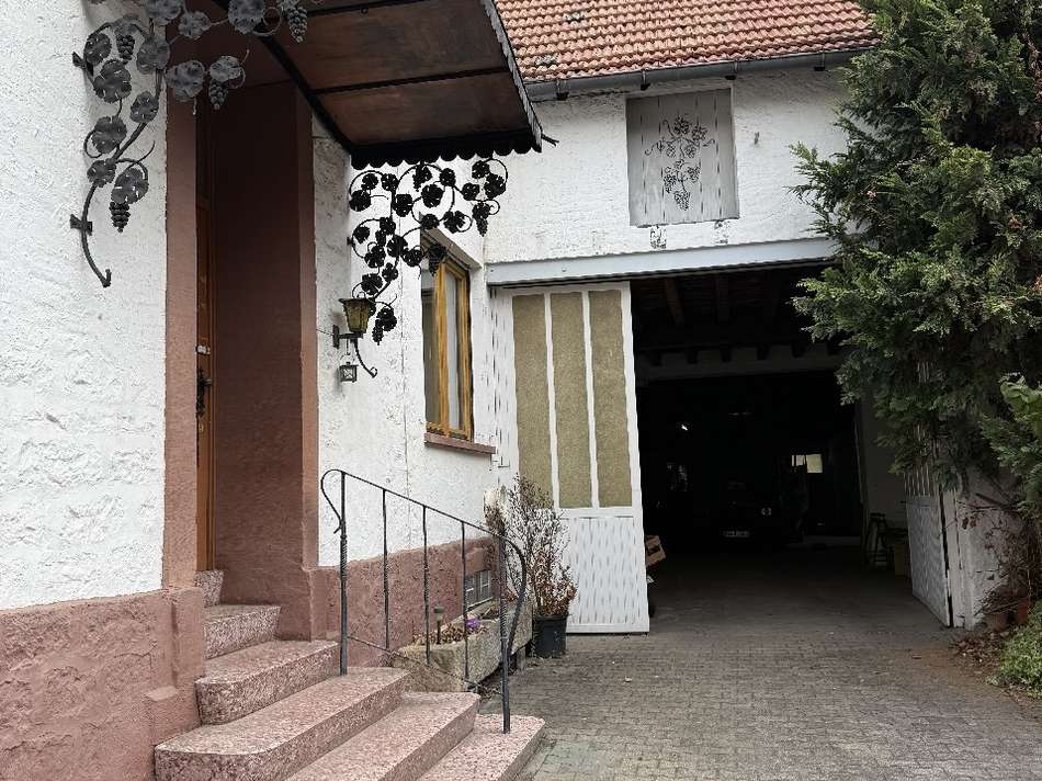 Hof