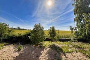 Charmantes Einfamilienhaus in Hornhausen – Ideal für Familien und Naturliebhaber – Börde (Kreis) – Vorschaubild 4