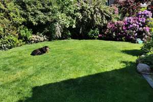 Property thumbnail 60