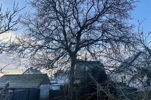 Ihr Rückzugsort im Grünen – Sanierungsbedürftiges Einfamilienhaus mit großem Garten – Hochtaunuskreis – Vorschaubild 38