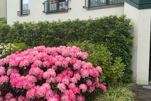 Modern möblierte 1-Zimmer-Wohnung, provisionsfrei mit Terrasse & Tiefgarage Düsseldorf-Mörsenbroich – Marie-Juchacz-Straße 11, 40470 Mörsenbroich, Düsseldorf – Vorschaubild 16