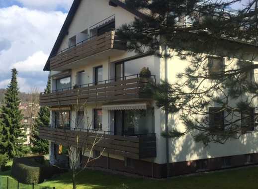 Singles harz kreis