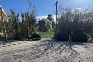 Großes Wohnhaus ohne Renovierungsstau + Baugrund + Bauernhof in Nienstedt/Deister zusammen 3100 qm – Lauenauer Straße 39, 31848 Hameln-Pyrmont (Kreis) – Vorschaubild 7